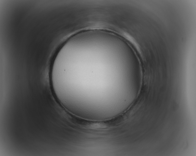 X0000089371464200706291238