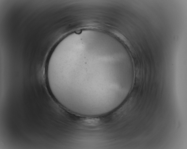 X0000089371466200706291238
