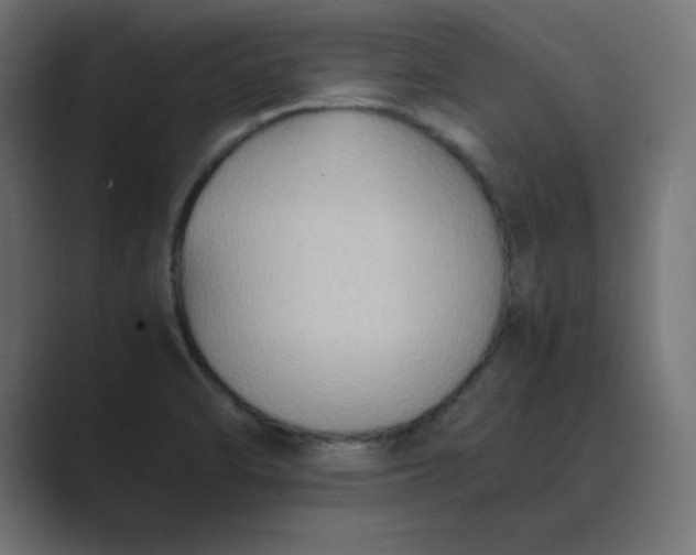 X0000089371470200706291238