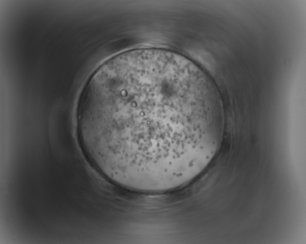 X0000089371471200706291238