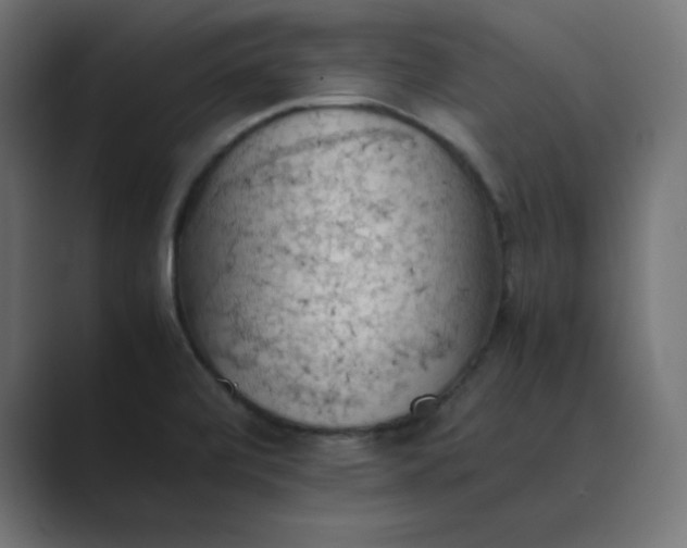 X0000089371472200706291238