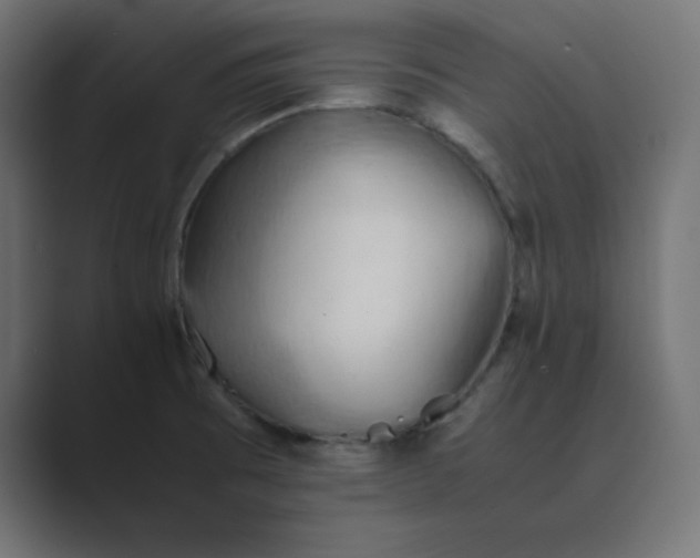 X0000089371473200706291238