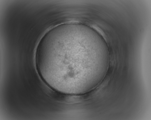 X0000089371475200706291238