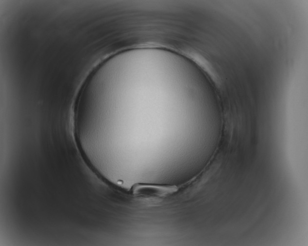 X0000089371476200706291238