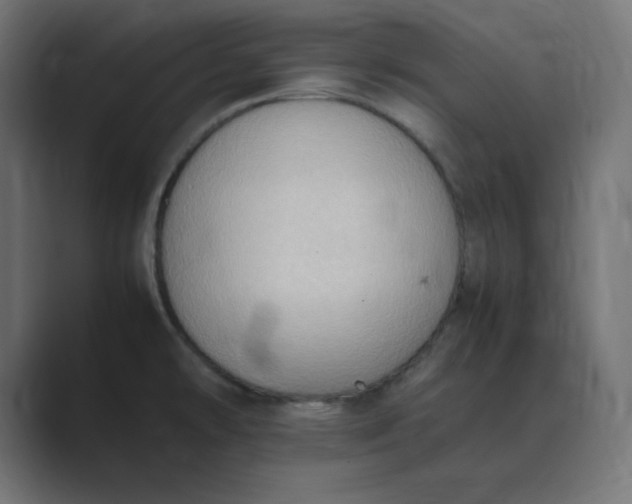 X0000089371478200706291238