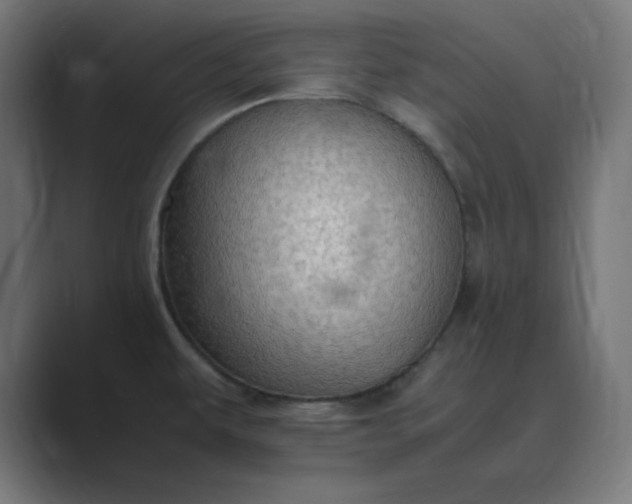 X0000089371479200706291238