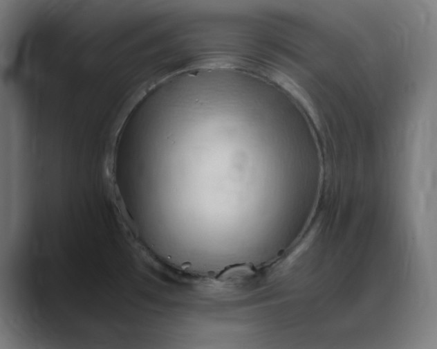 X0000089371481200706291238