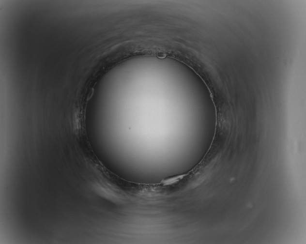 X0000089371490200706291238