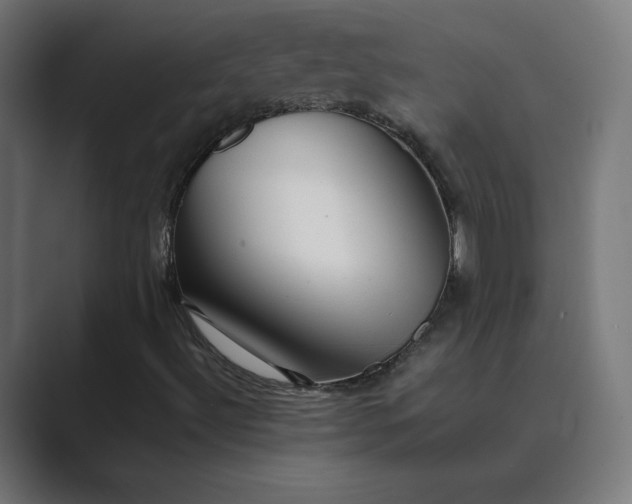 X0000089371492200706291238