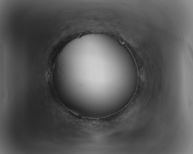 X0000089371495200706291238
