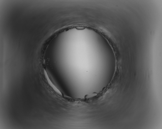 X0000089371496200706291238