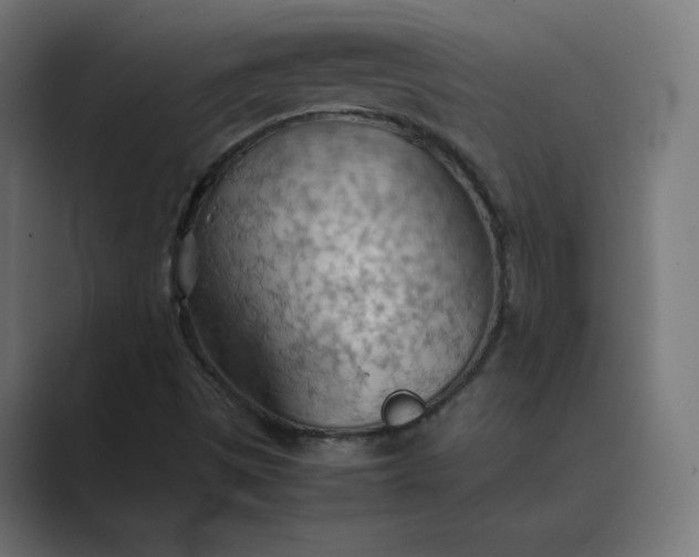 X0000089371497200706291238