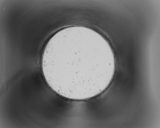 X0000089371498200706291238