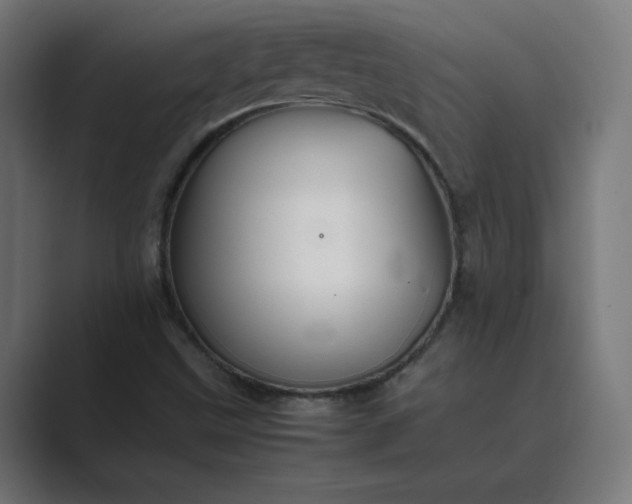 X0000089371499200706291238