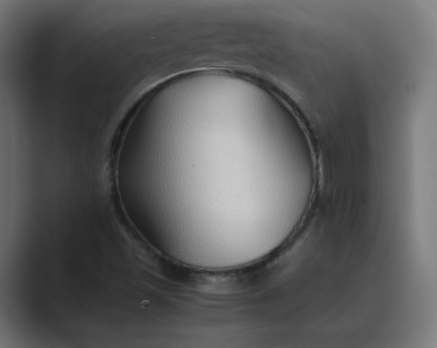 X0000089371501200706291238