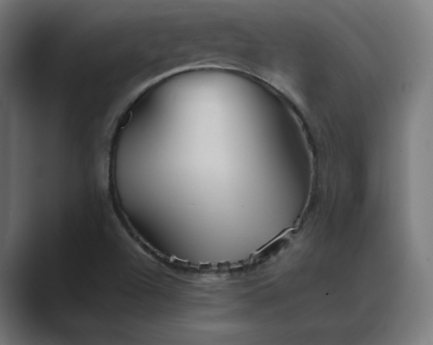 X0000089371504200706291238