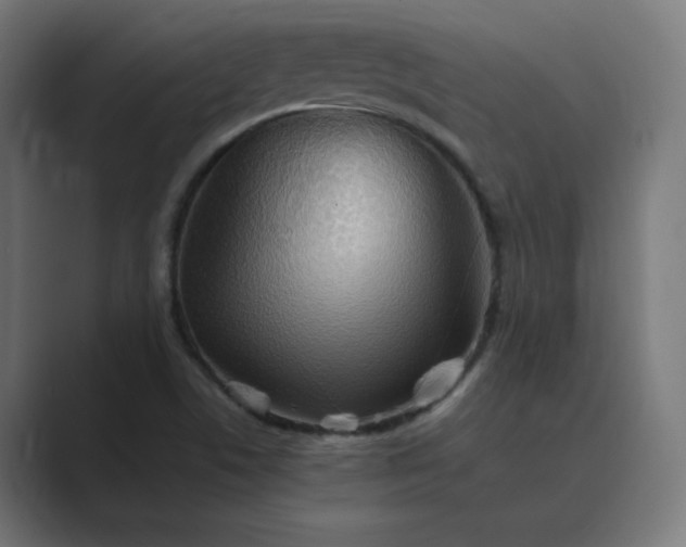 X0000089371506200706291238