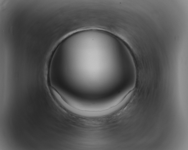 X0000089371508200706291238