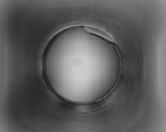 X0000089371511200706291238