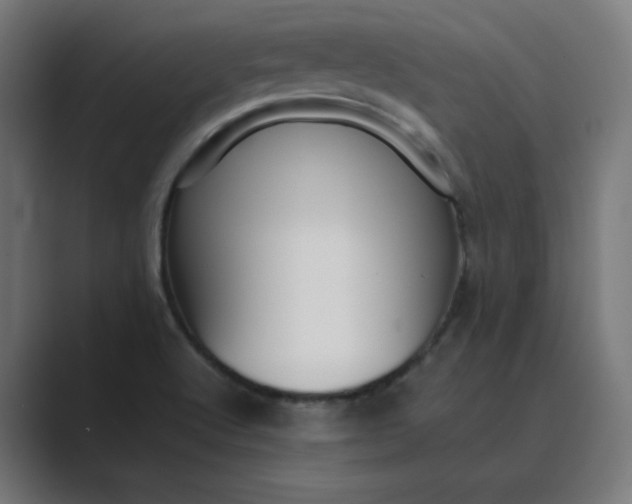 X0000089371512200706291238