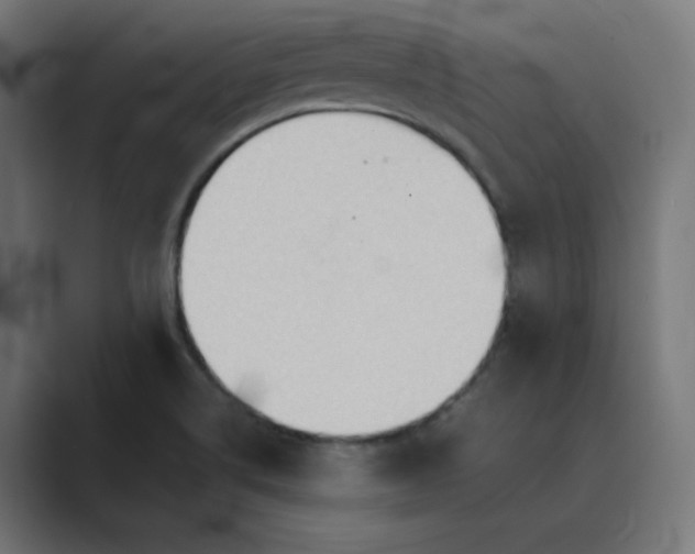 X0000089371514200706291238