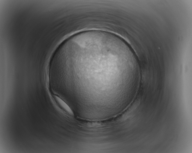 X0000089371515200706291238