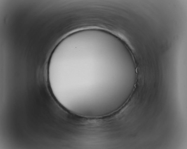 X0000089371516200706291238