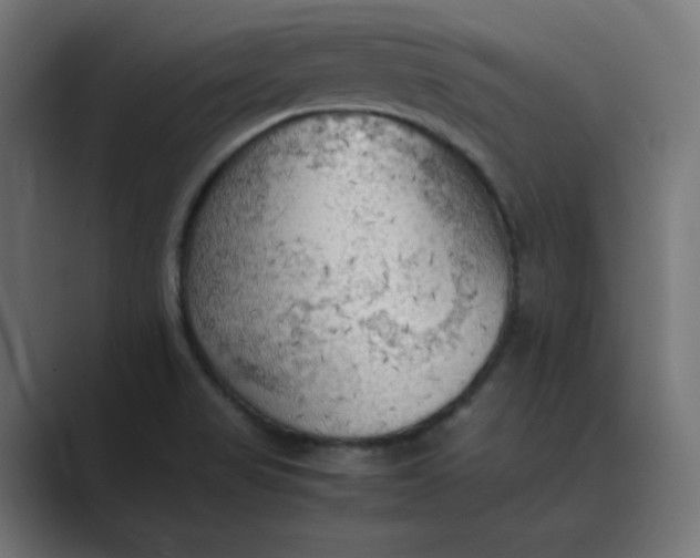 X0000089371517200706291238