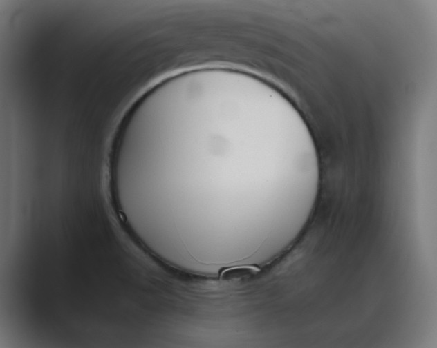 X0000089371518200706291238