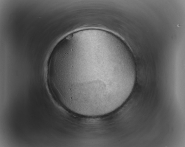 X0000089371519200706291238