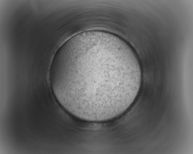 X0000089371521200706291238