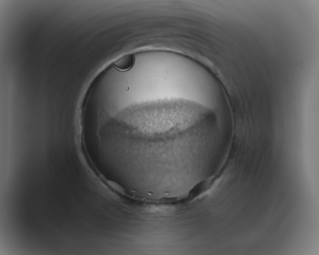 X0000089371522200706291238