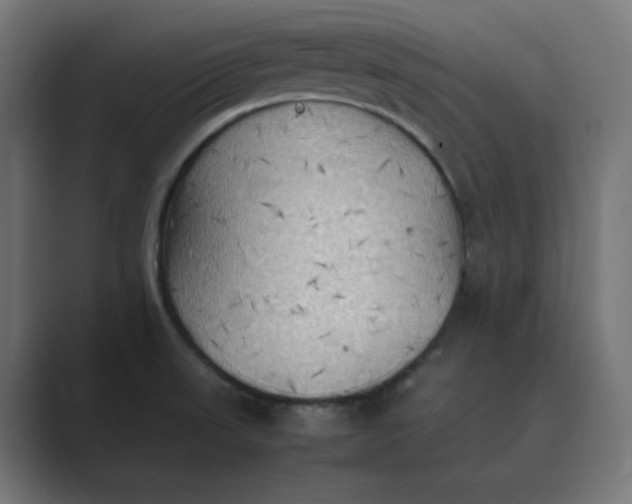X0000089371523200706291238