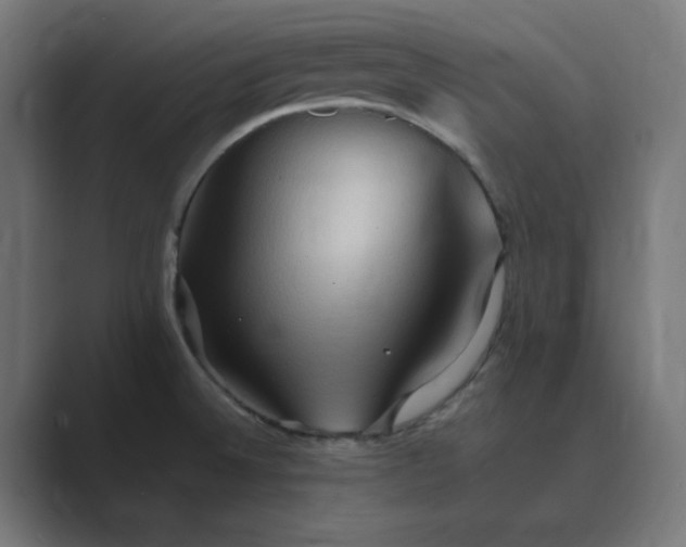 X0000089371524200706291238