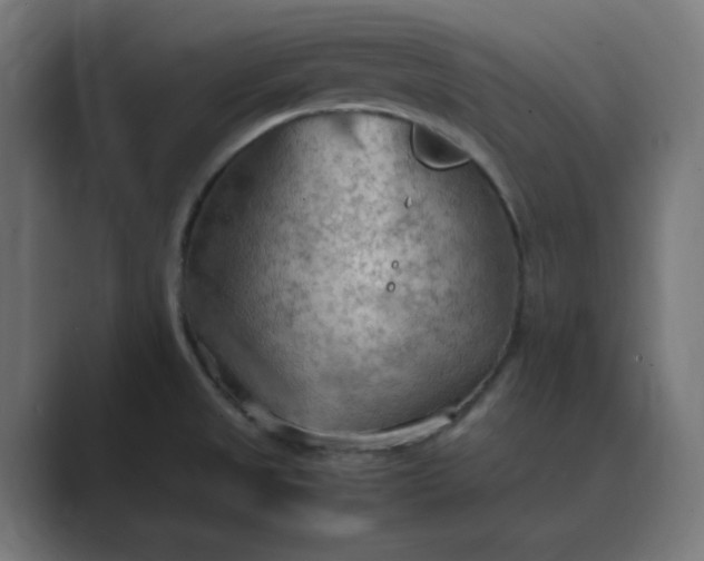 X0000089371525200706291238