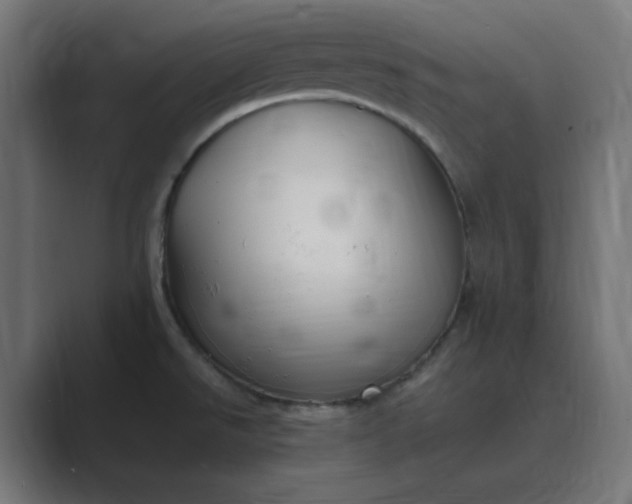X0000089371526200706291238