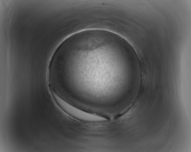 X0000089371527200706291238