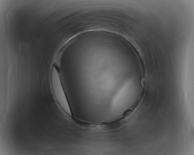 X0000089371529200706291238