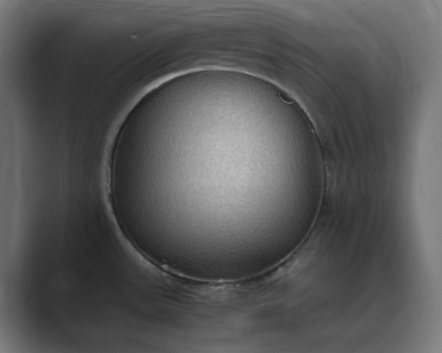 X0000089371531200706291238