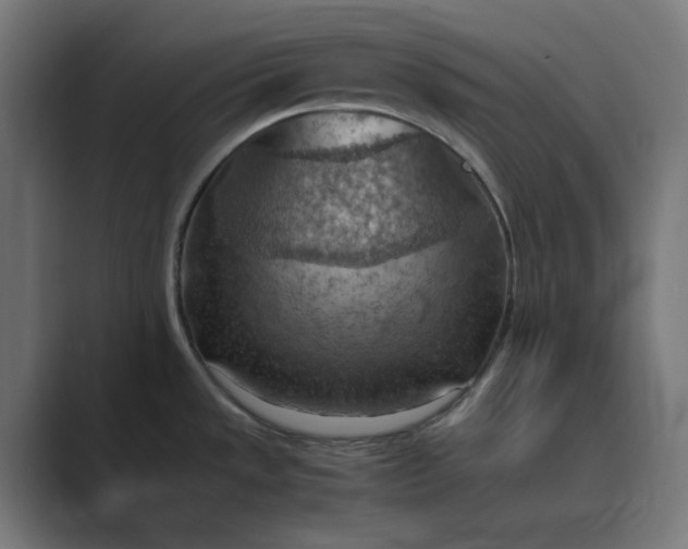 X0000089371533200706291238