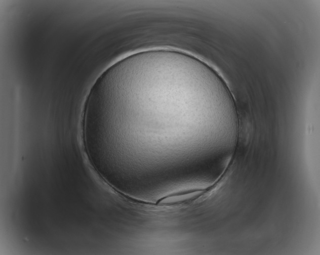 X0000089371534200706291238