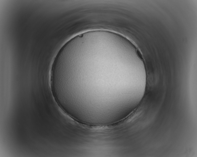 X0000089371535200706291238