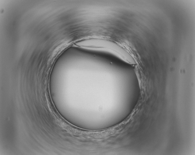 X0000089370001200707061126