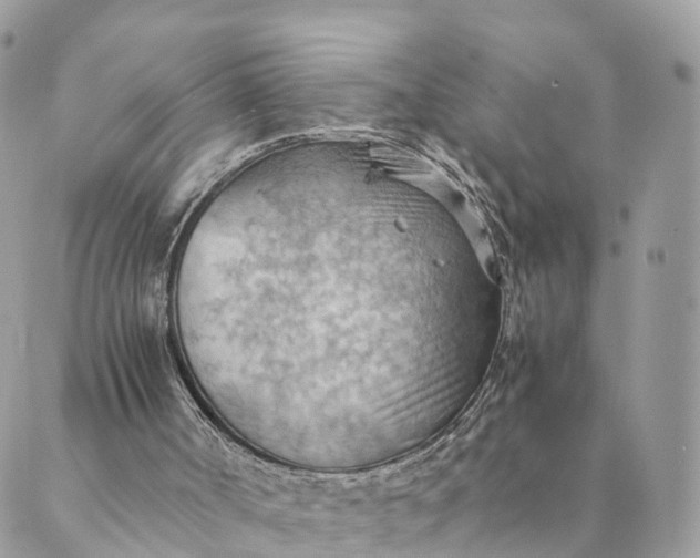 X0000089370002200707061126