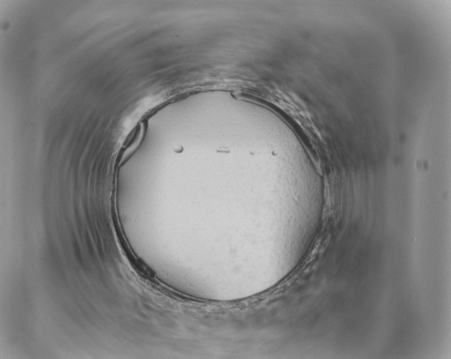 X0000089370003200707061126