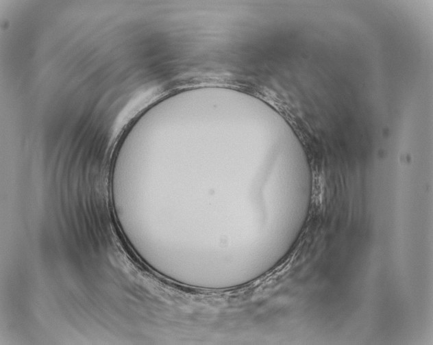 X0000089370004200707061126