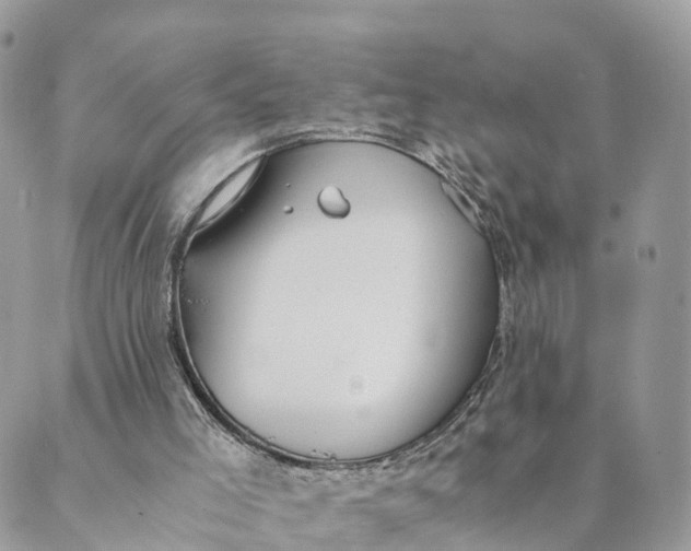 X0000089370005200707061126