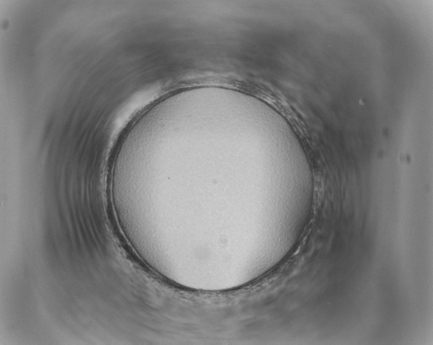 X0000089370006200707061125