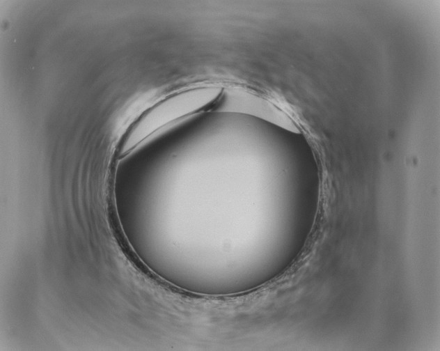 X0000089370007200707061125