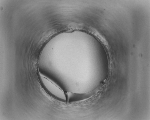 X0000089370009200707061125